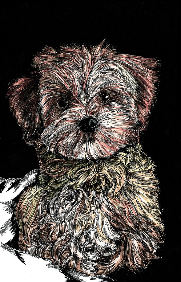 Puppy 2 Digital Download - Curran Artworks