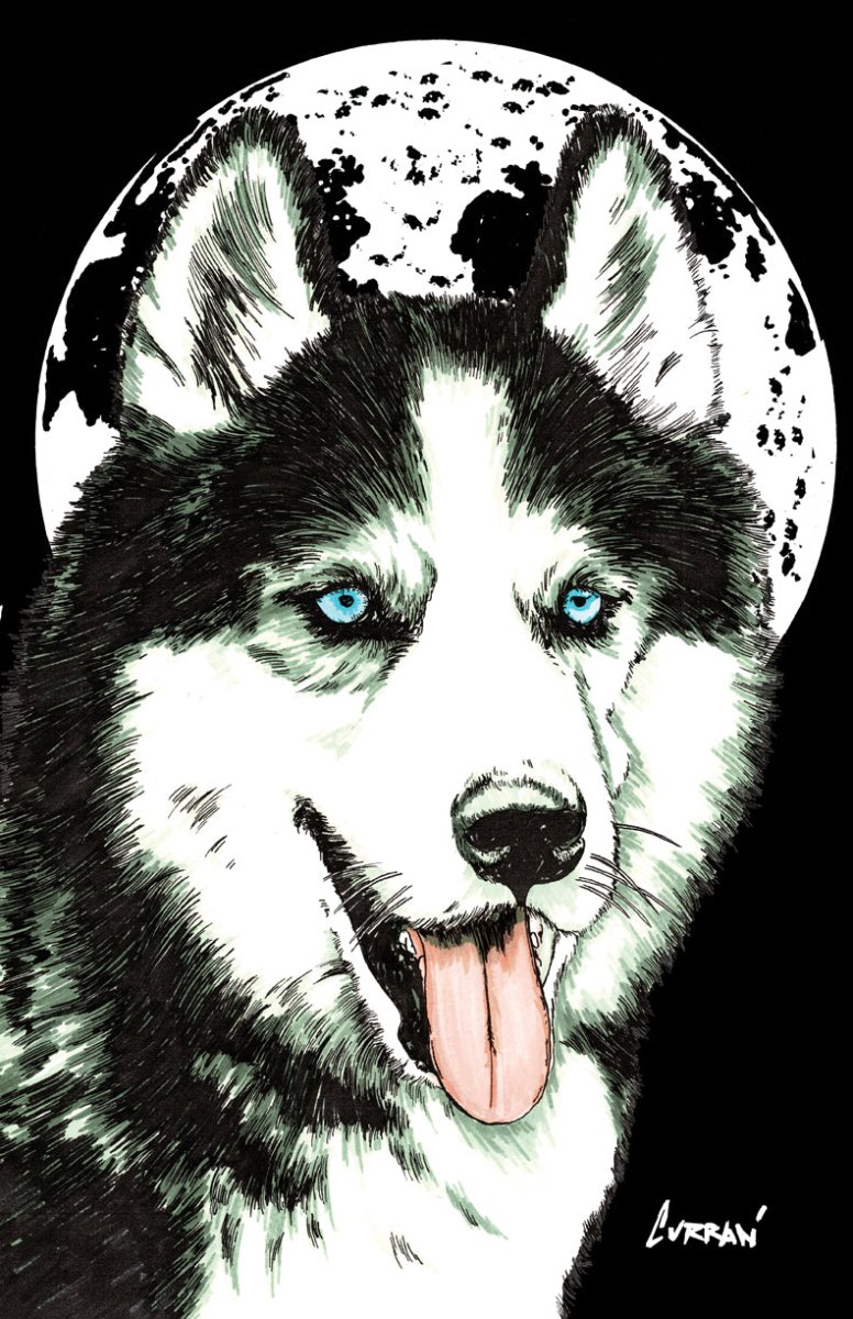Siberian Husky Digital Download - Curran Artworks