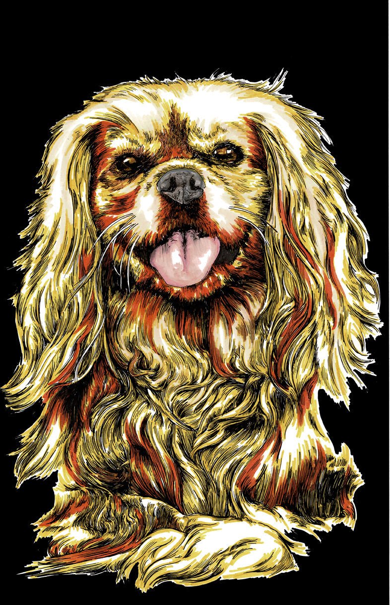 Cocker Spaniel - Hand Drawn Art - Curran Artworks