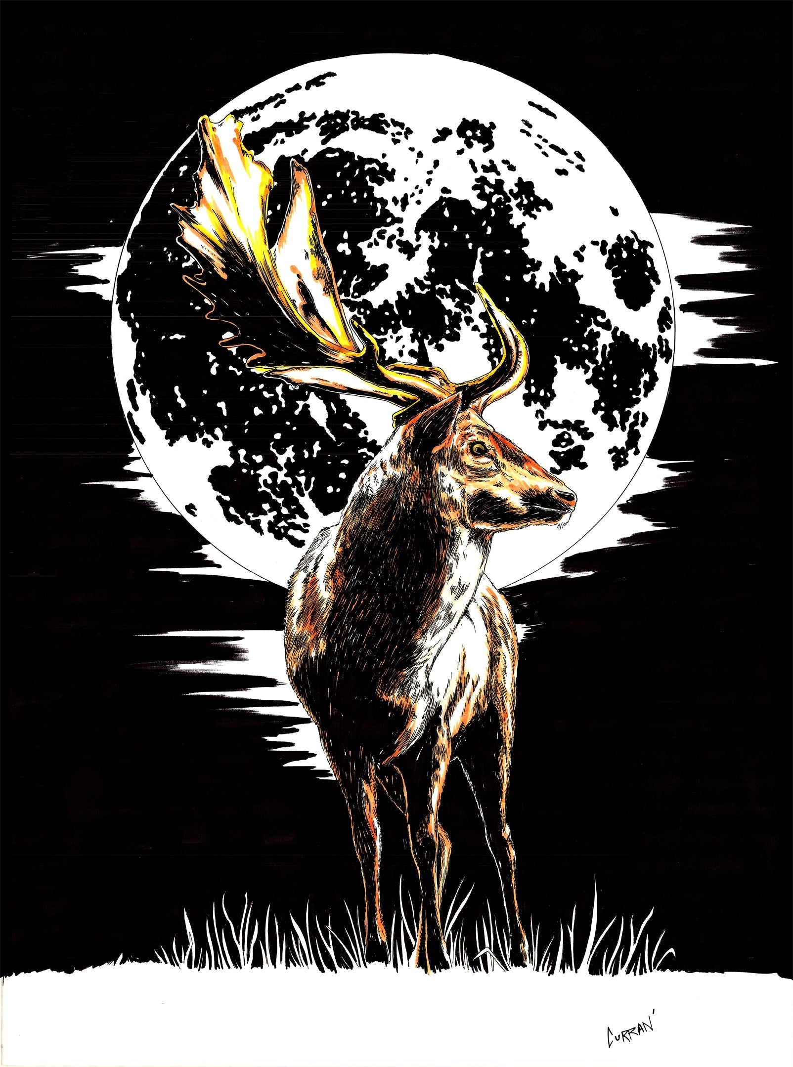 Deer - Hand Drawn Art - Curran Artworks