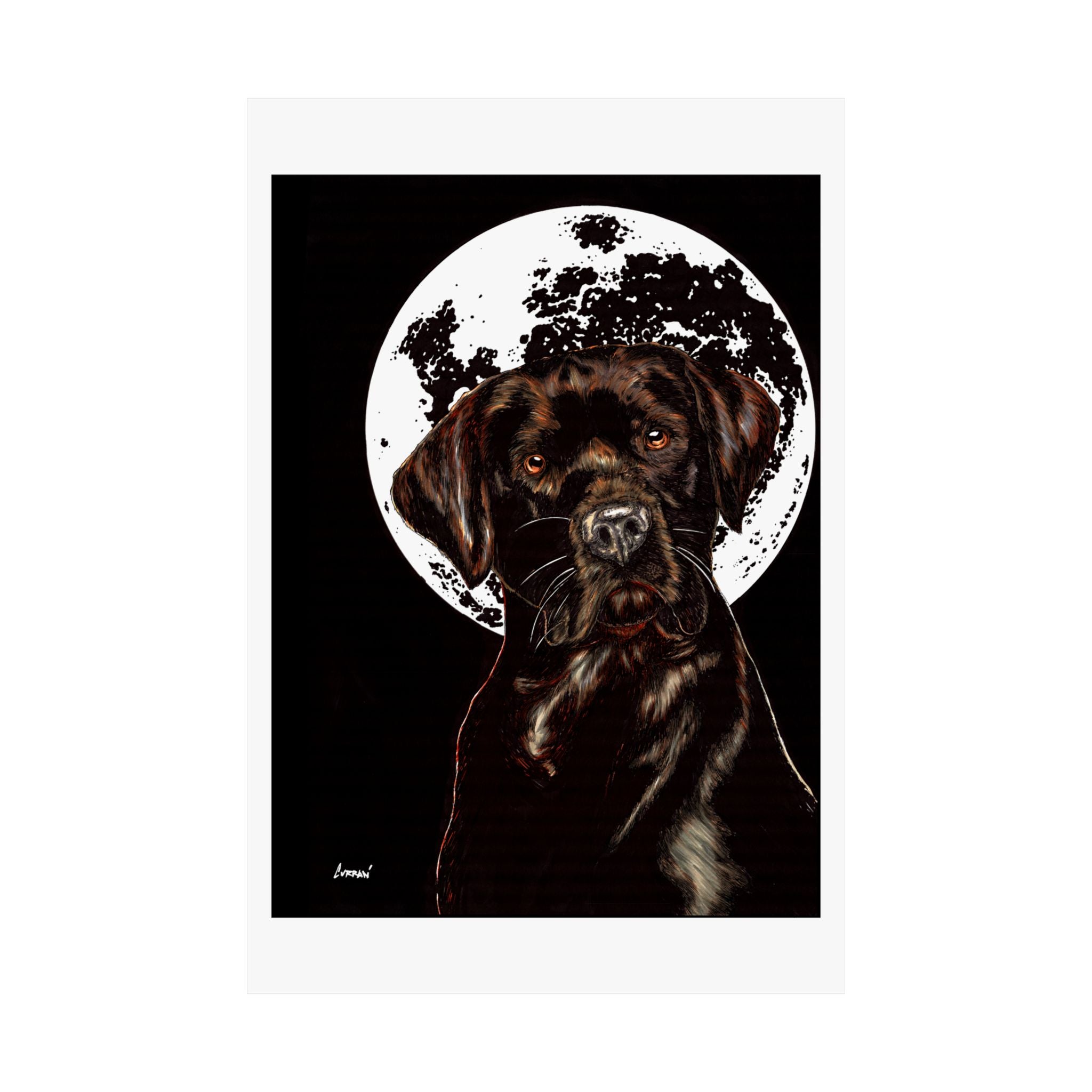 Chocolate Lab Dog Moonlight Satin Poster