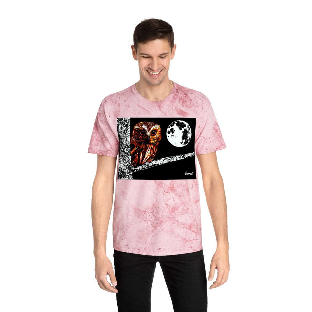 Owl on a Branch Color Blast T Shirt Original Hand Drawn Art