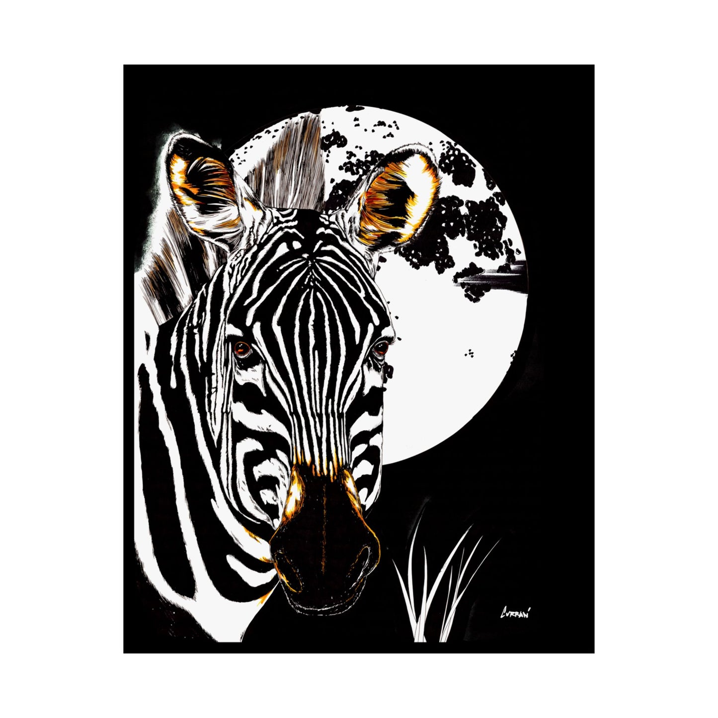 Zebra Satin Poster - Art Print Poster of the Original Art