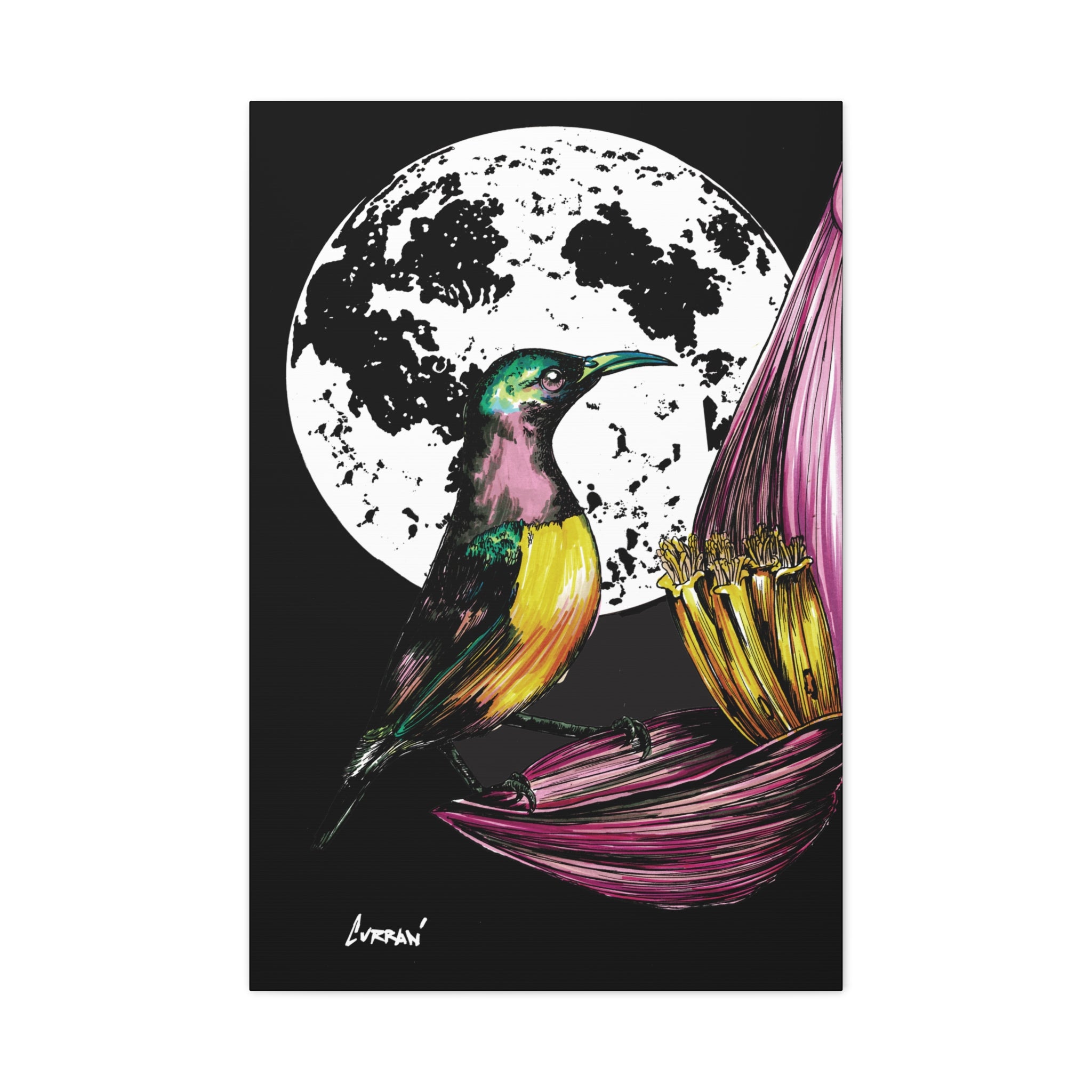 Hummingbird Wall Art Print of the Original, hand drawn
