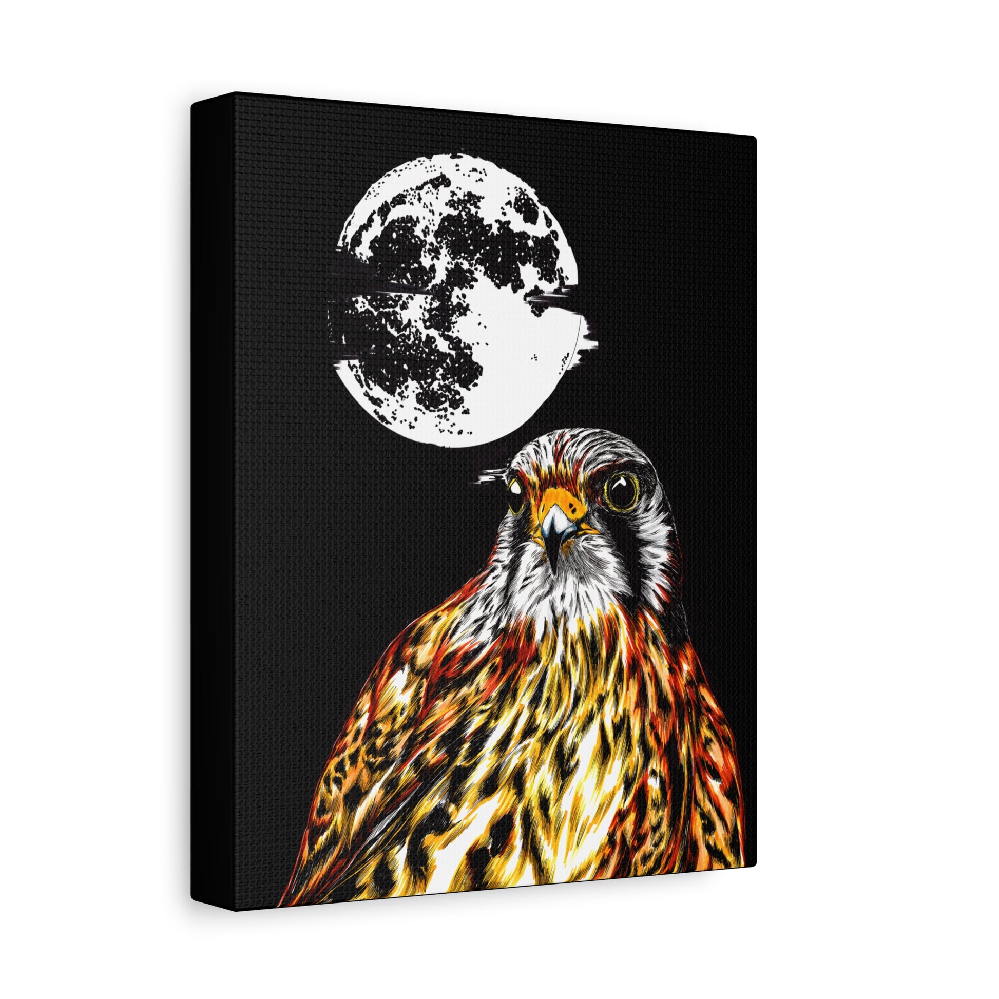 Falcon Wall Art, Falcon Print, Wildlife Art, Bird of Prey