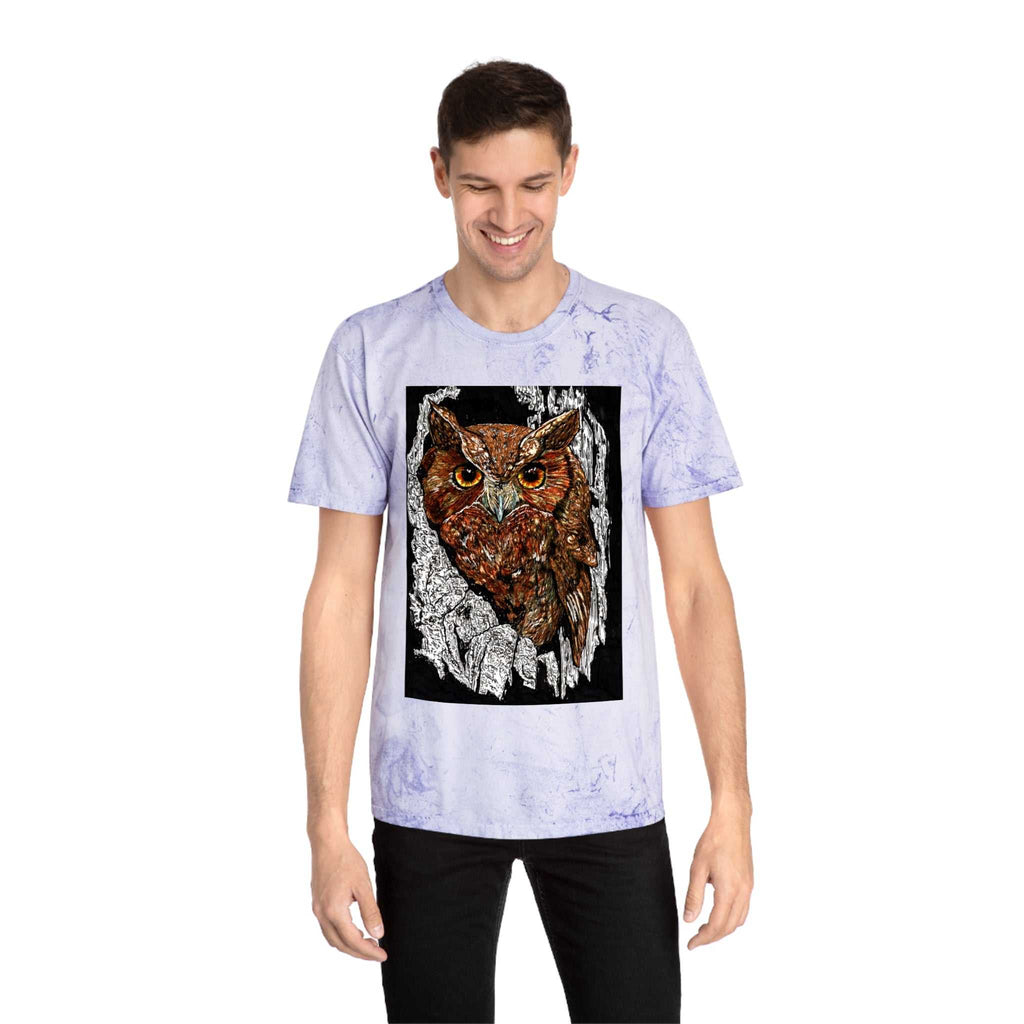 Owl in a Tree Color Blast T Shirt Original Hand Drawn Art