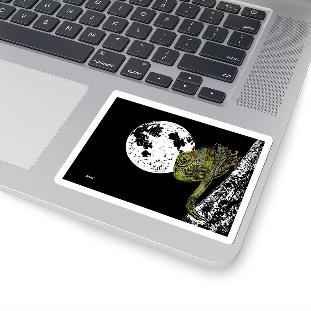 Lizard Moon Kiss-Cut Stickers | Nature-Inspired Decor