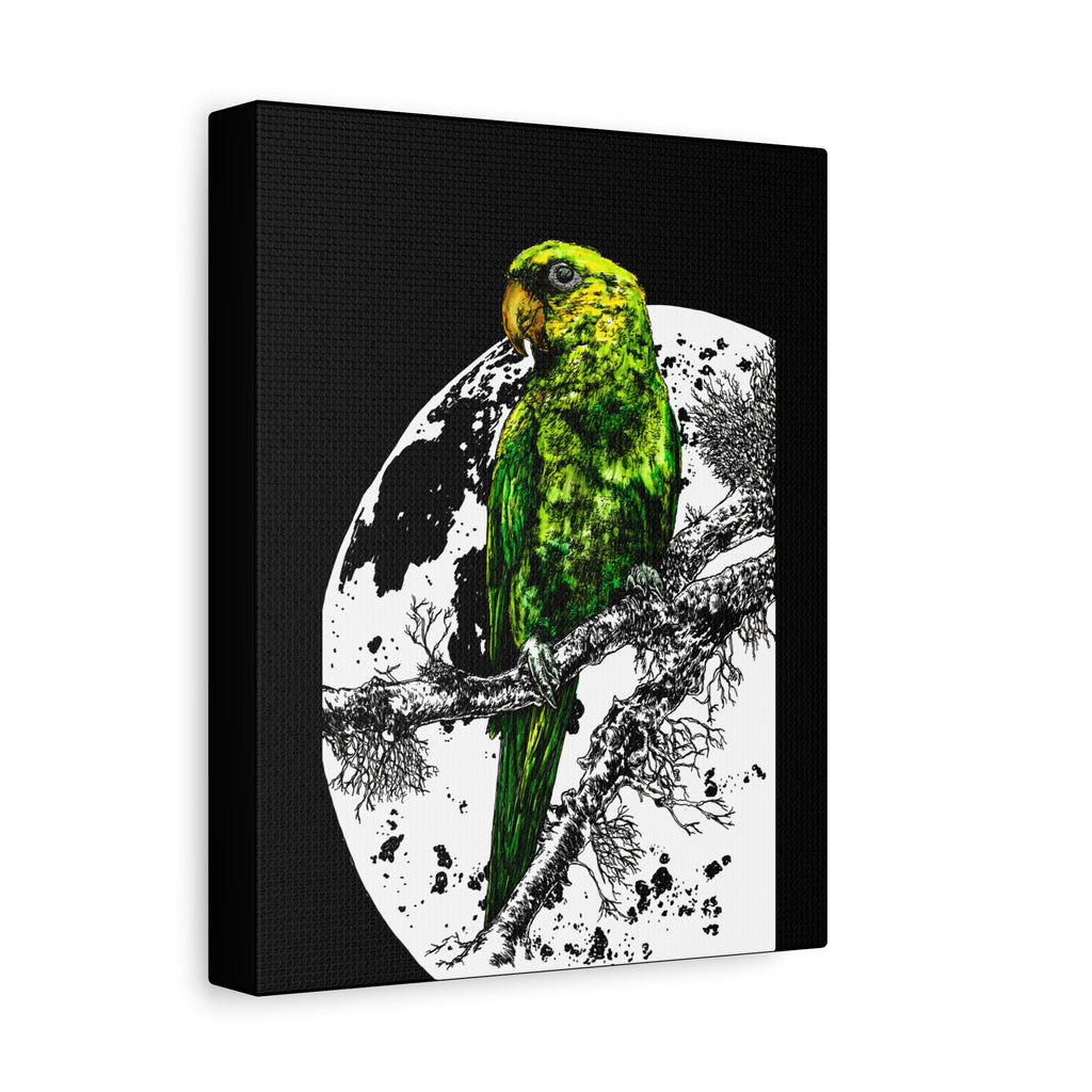 Green Parrot Wall Art Print - Matte Canvas, Stretched,