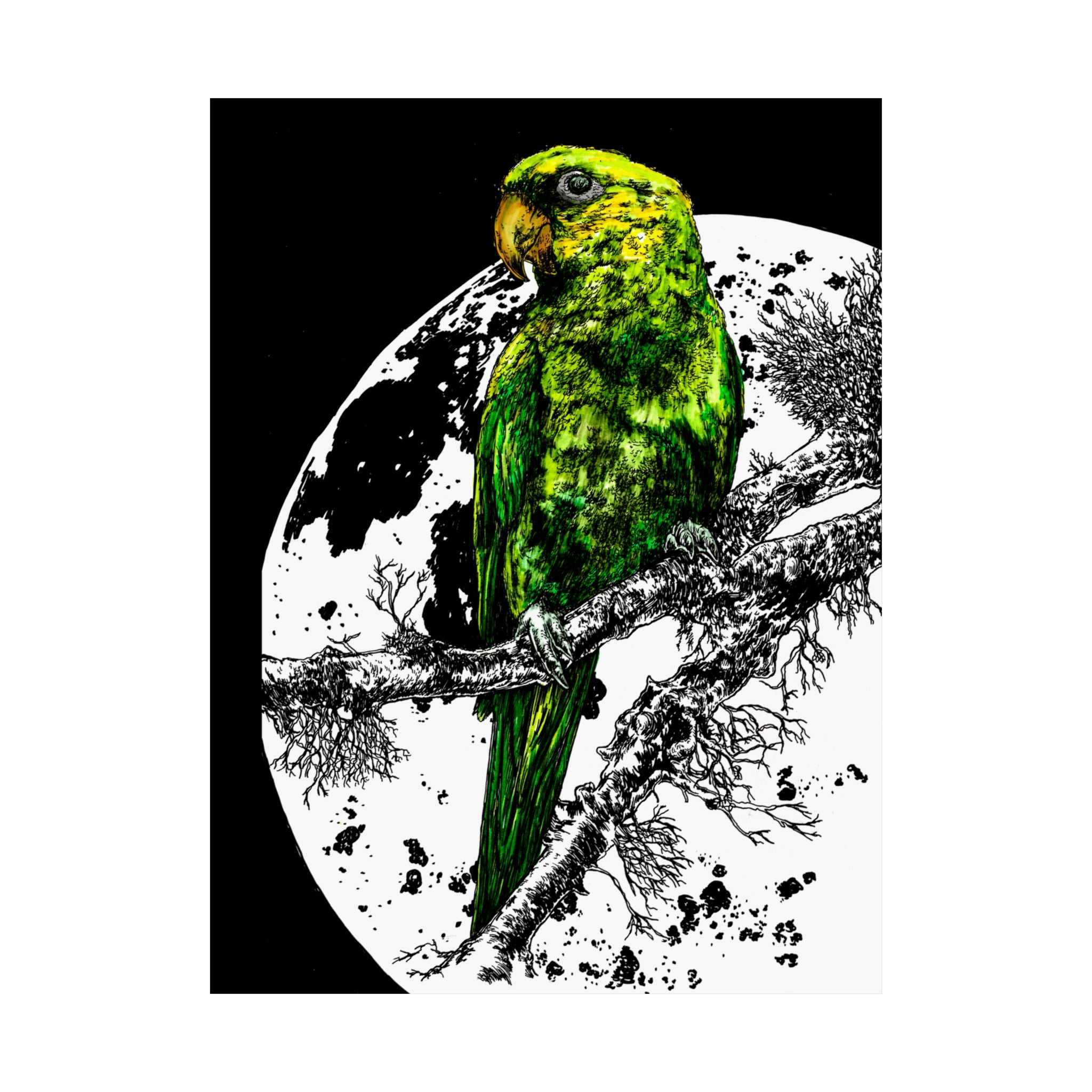 Green Parrot Satin Poster - Colorful Wall Art for Home Decor featuring the beautifully hand drawn and colored original wall art animal poster by Kris Curran.