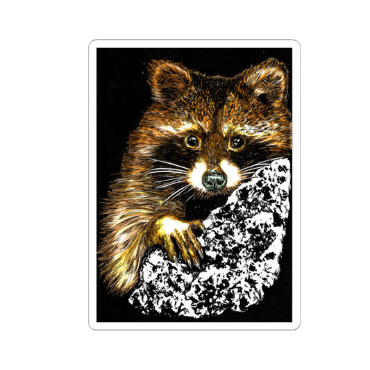 Raccoon Stickers