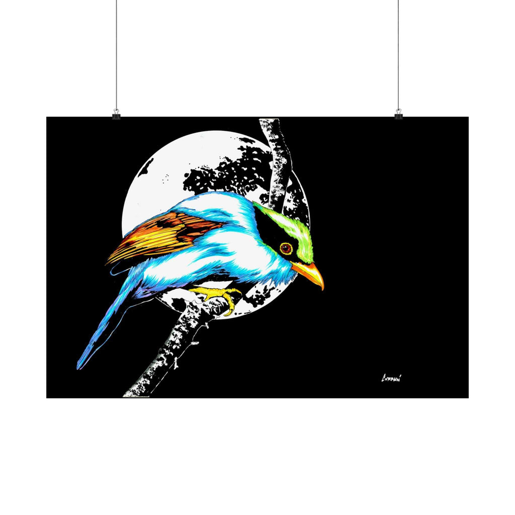 Bring nature's beauty into your space with our Vibrant Bird Satin Poster - Wall Art Print for Nature Lovers. Elevate your walls now!