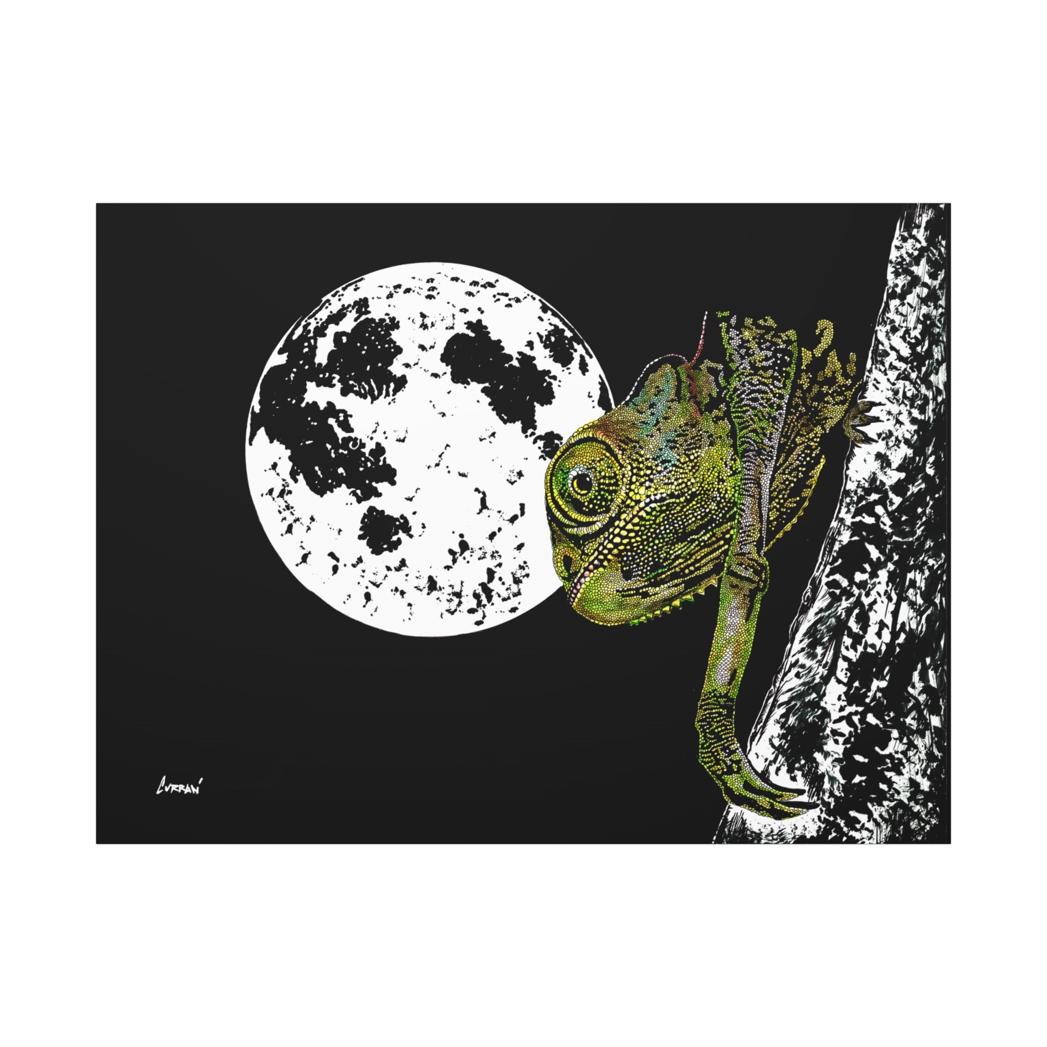 Chameleon Print of the Original, hand drawn wall art