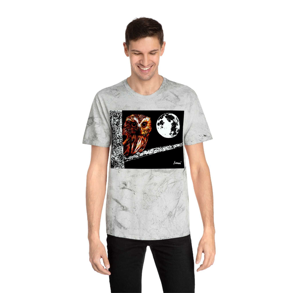 Owl on a Branch Color Blast T Shirt Original Hand Drawn Art