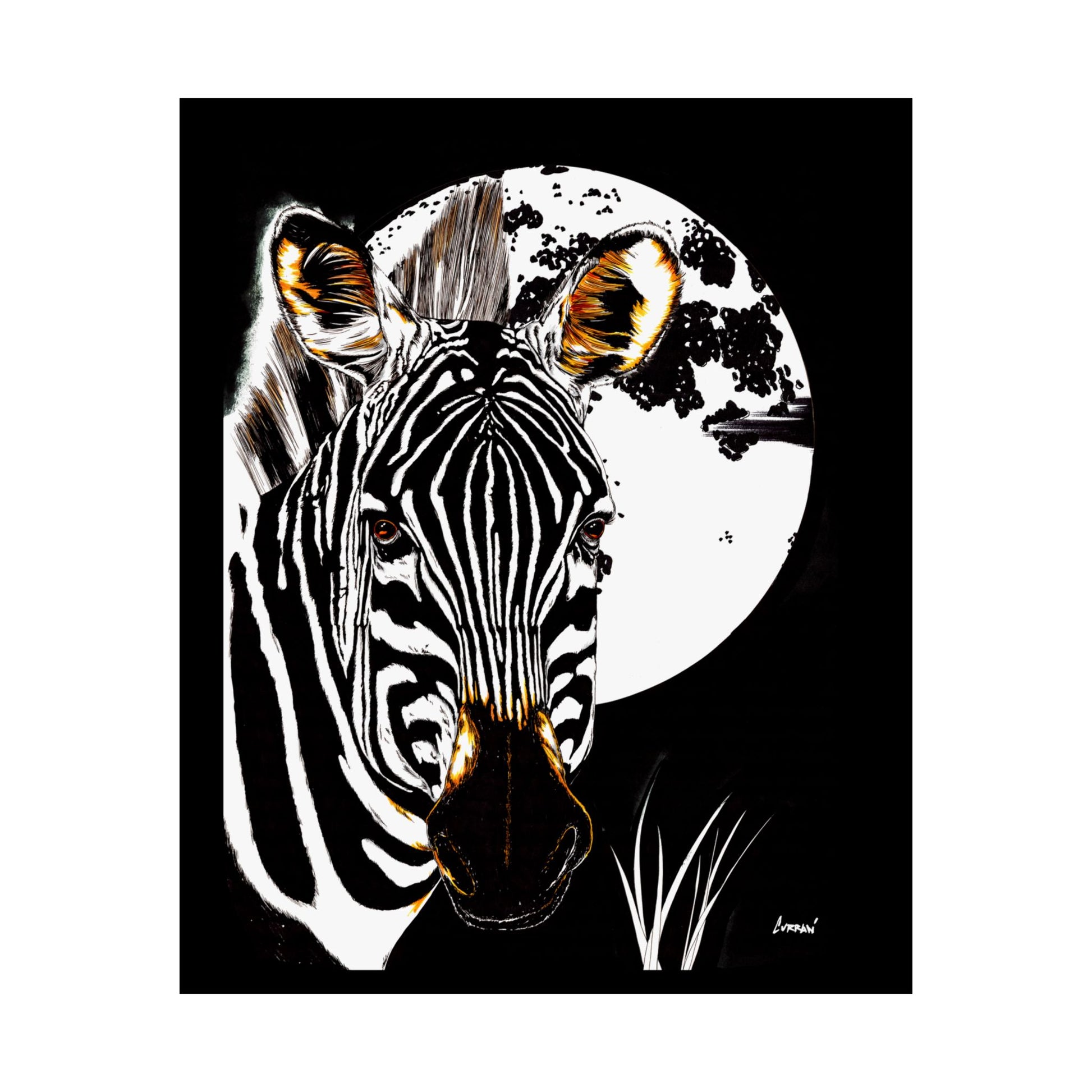 Zebra Satin Poster - Art Print Poster of the Original Art
