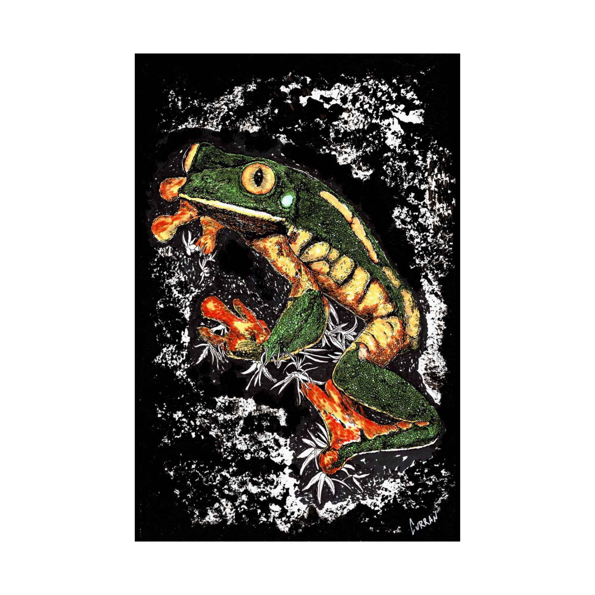 Discover the enchanting Frog Satin Poster - 300gsm Art Print for Nature Lovers. Bring the beauty of nature into your home today! Buy now.