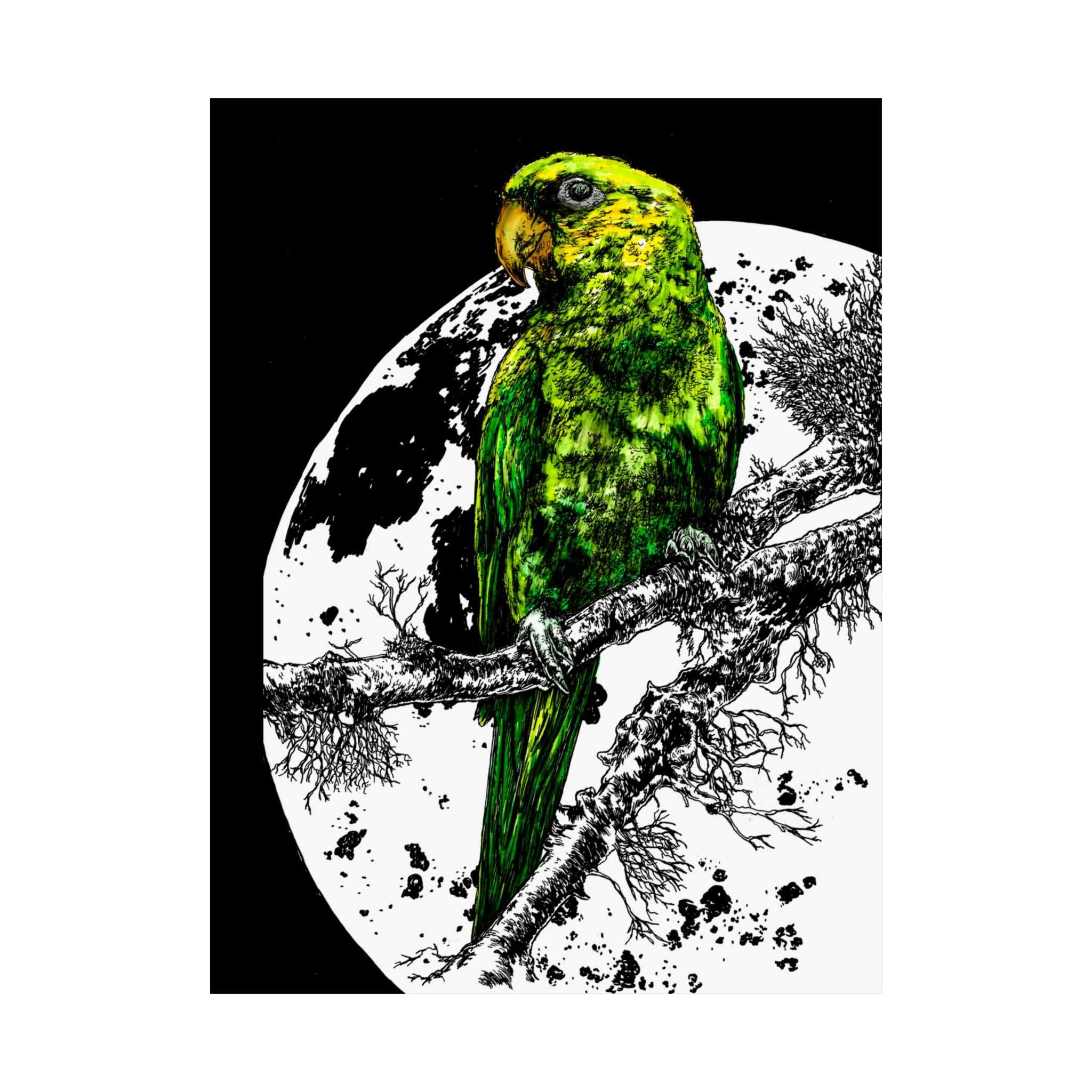 Green Parrot Satin Poster - Colorful Wall Art for Home Decor featuring the beautifully hand drawn and colored original wall art animal poster by Kris Curran.