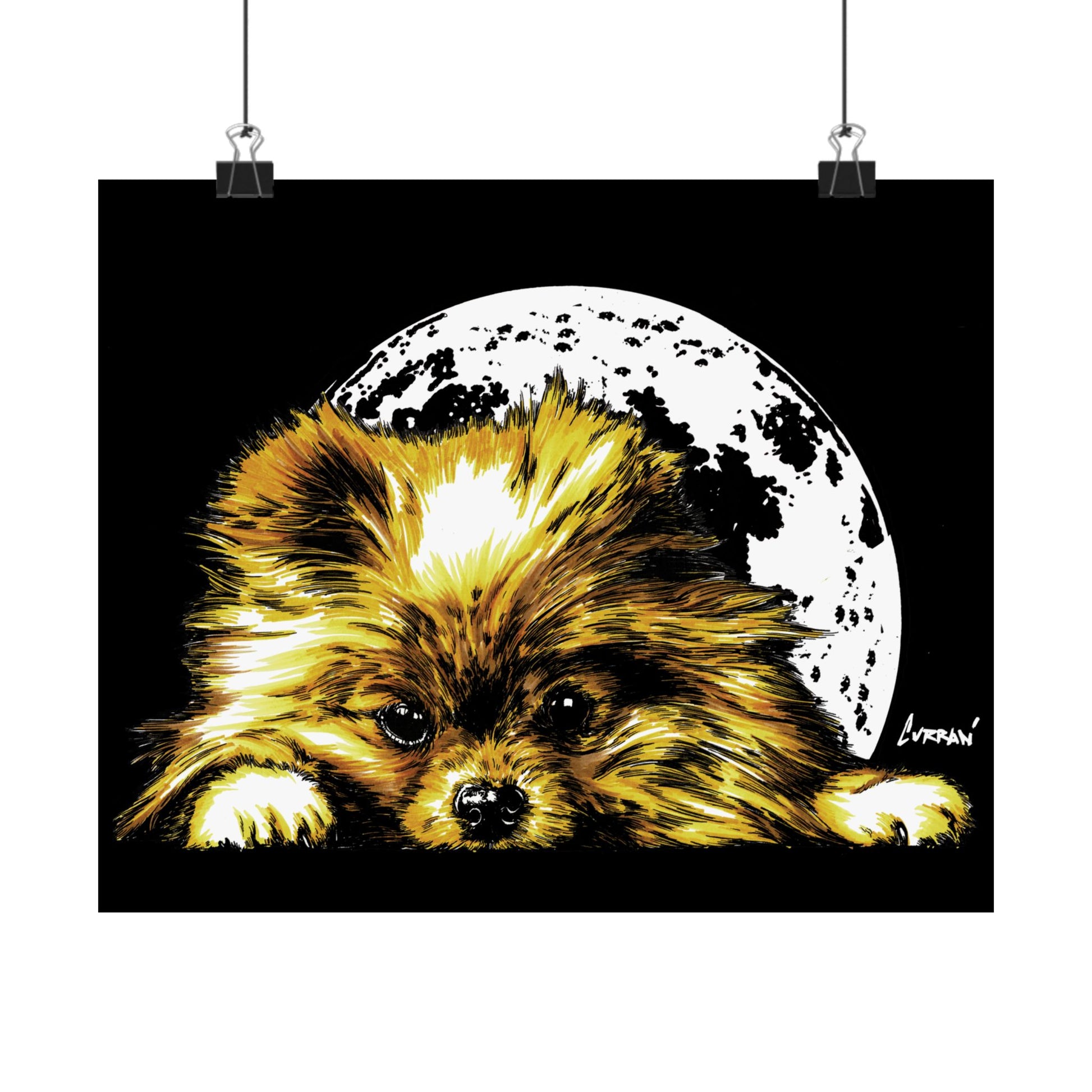 Beautiful Pomeranian Art Print - Satin Poster (300gsm)