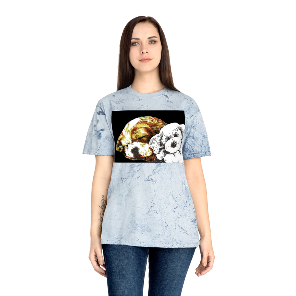Color Blast Cocker Spaniel Unisex T-Shirt