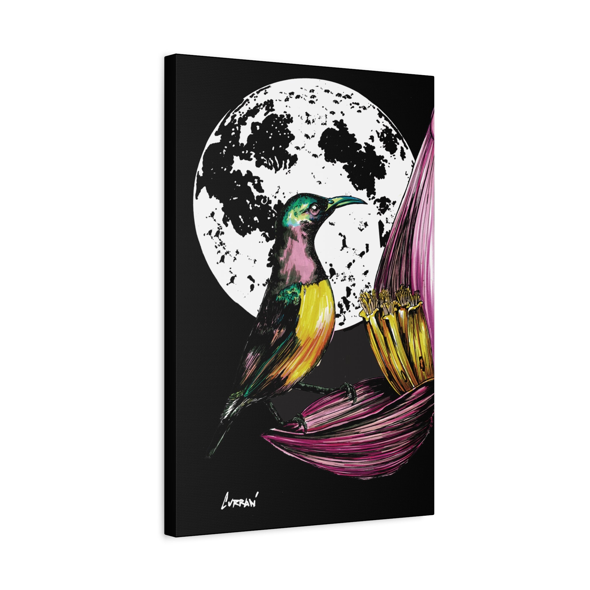 Hummingbird Wall Art Print of the Original, hand drawn