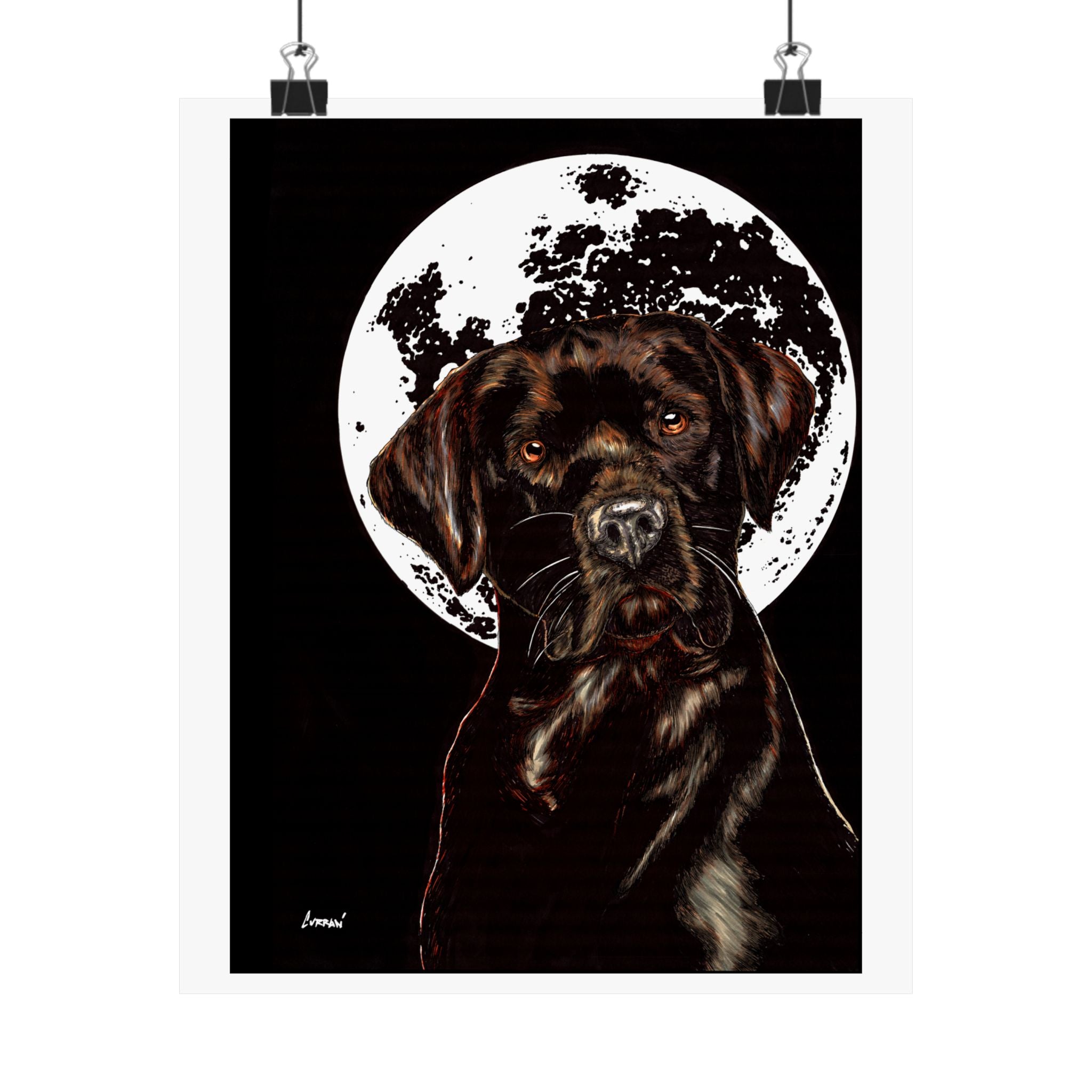 Chocolate Lab Dog Moonlight Satin Poster