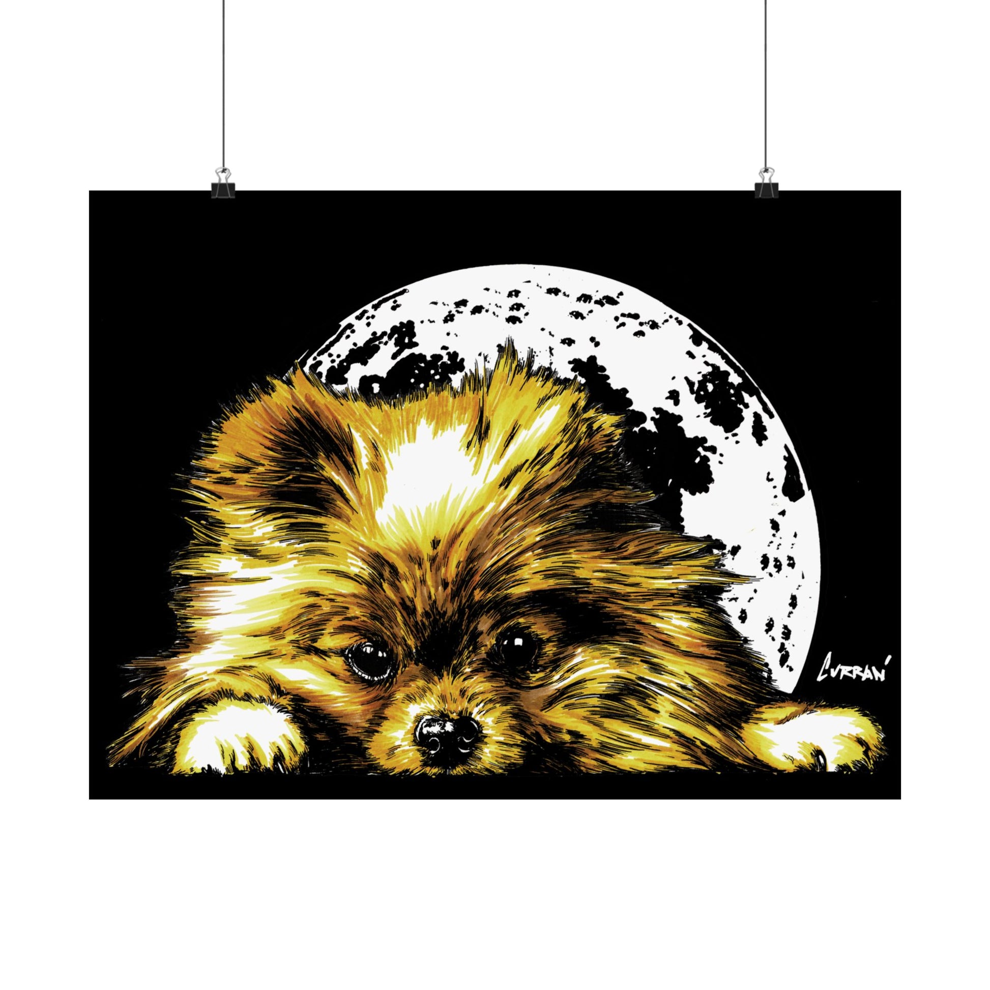 Beautiful Pomeranian Art Print - Satin Poster (300gsm)