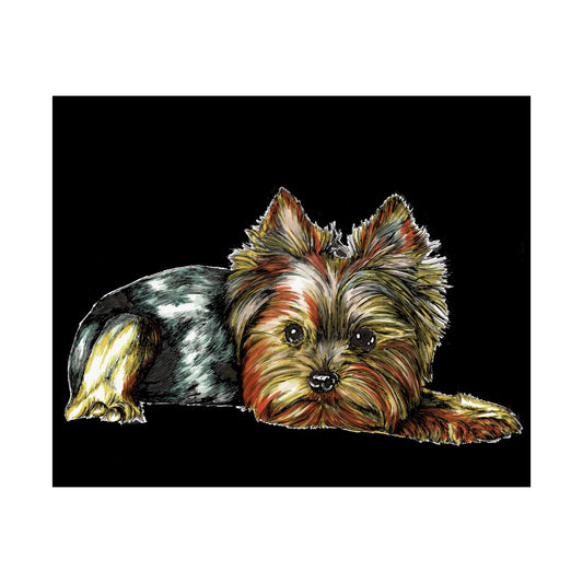 Yorkshire Terrier Satin Poster