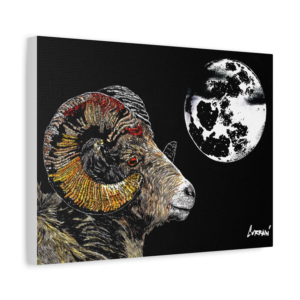Mountain Ram Canvas Print - Art Print on Stretched Canvas