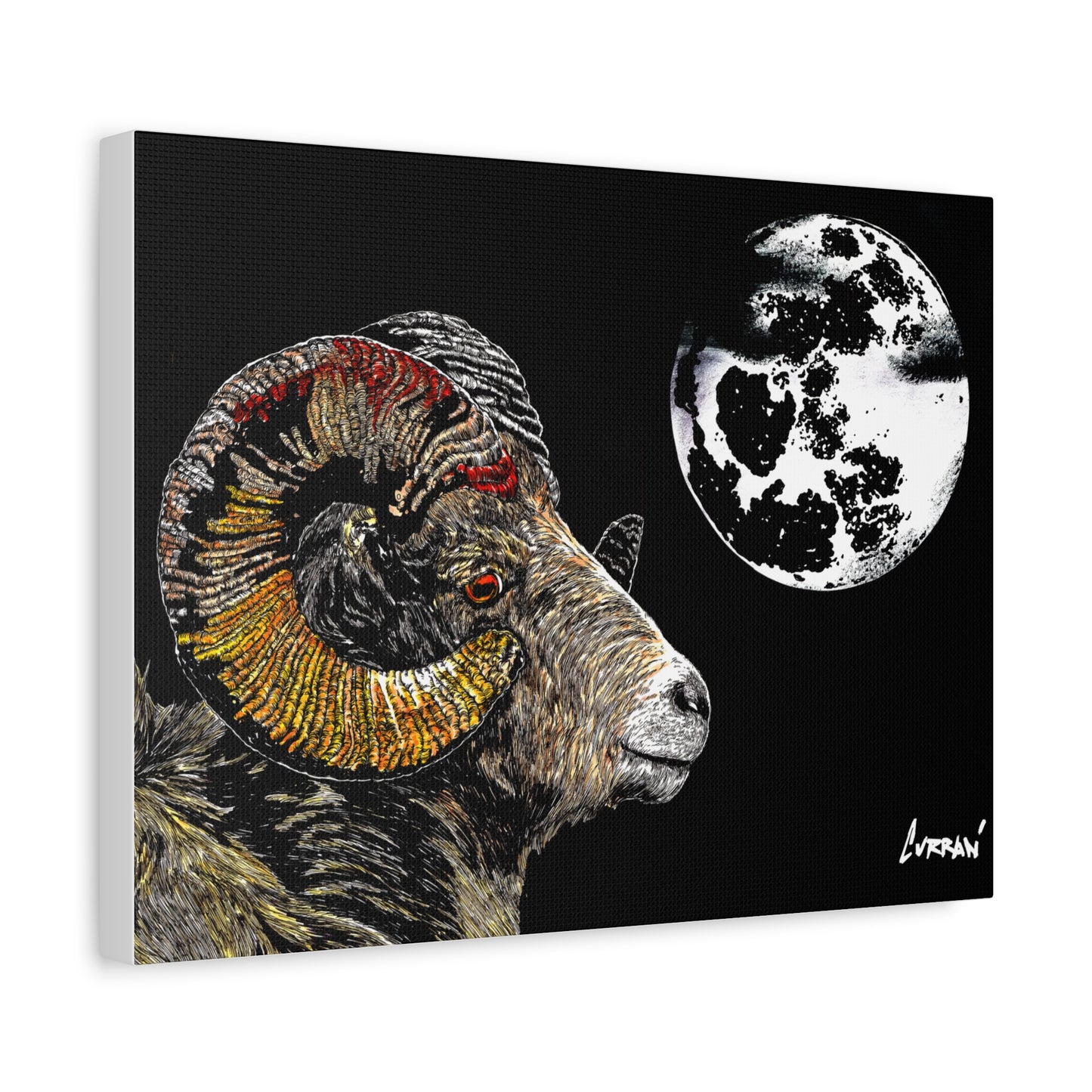 Mountain Ram Canvas Print - Art Print on Stretched Canvas