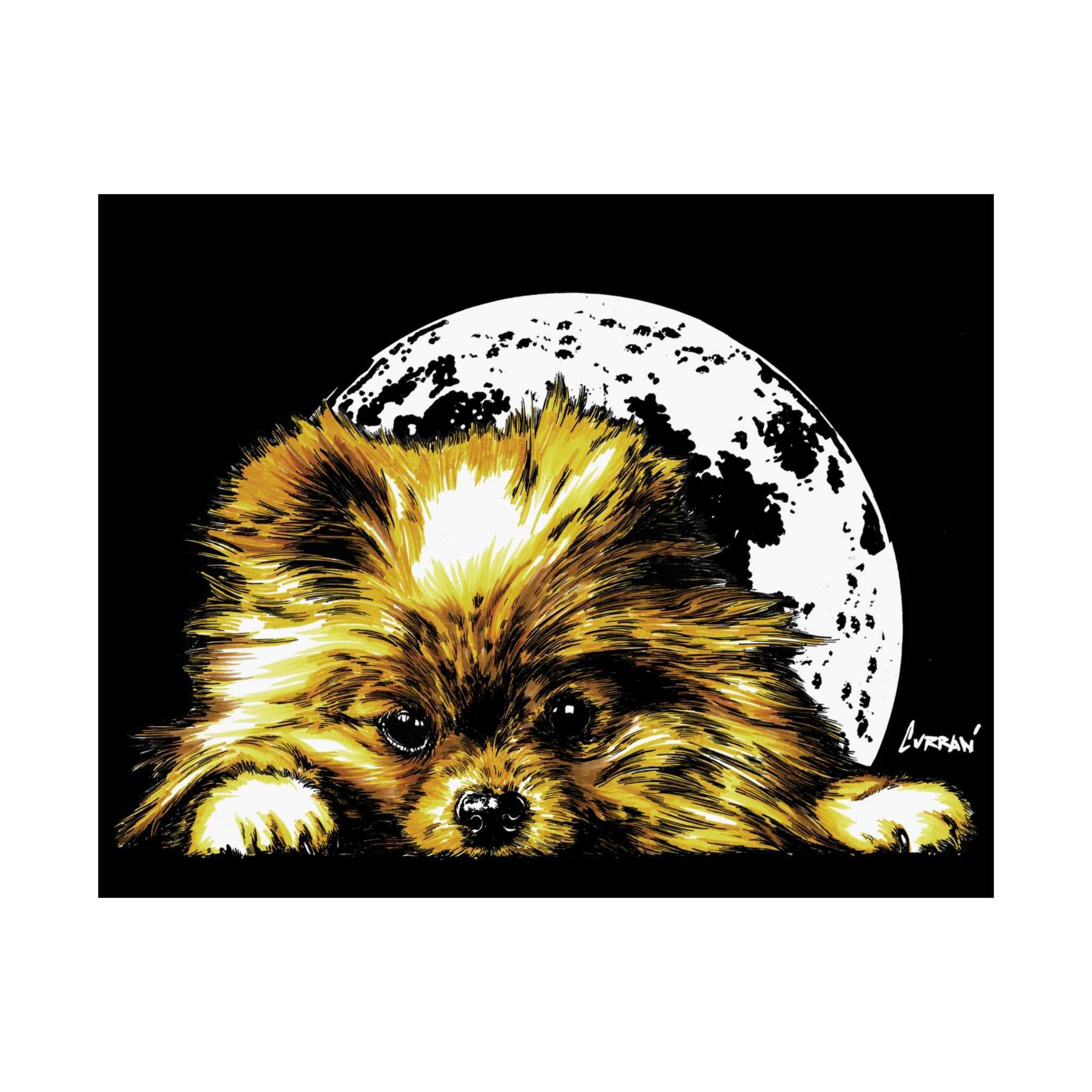 Beautiful Pomeranian Art Print