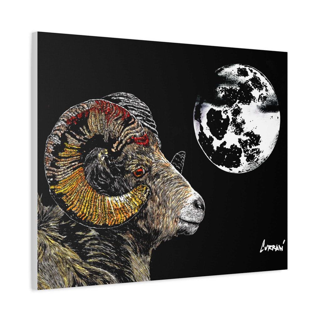 Mountain Ram Canvas Print - Art Print on Stretched Canvas
