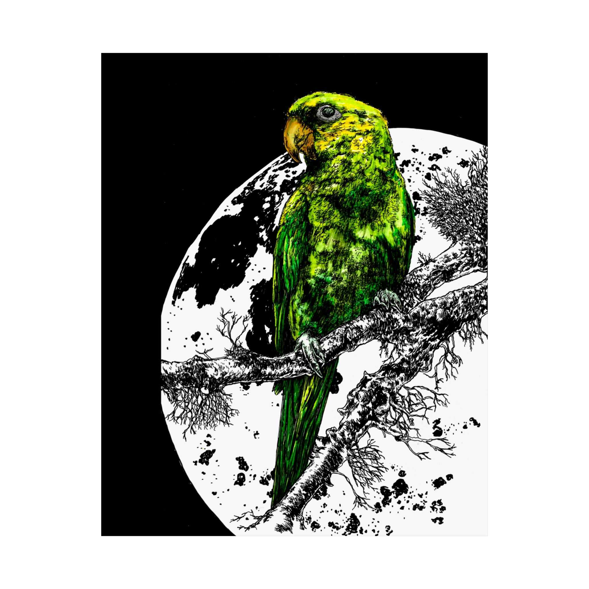 Green Parrot Satin Poster - Colorful Wall Art for Home Decor featuring the beautifully hand drawn and colored original wall art animal poster by Kris Curran.