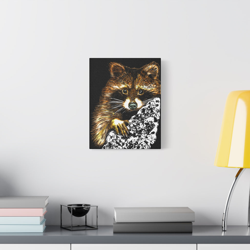 Raccoon in Tree Wall Art Canvas Print of the Original, hand drawn animal wall art poster of a Raccoon in a Tree by artist Kris Curran at Curran Artworks.