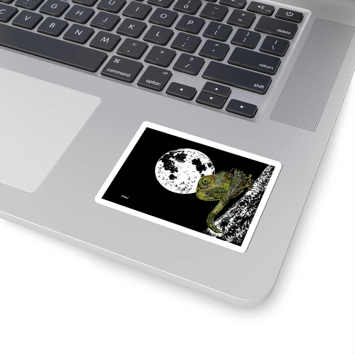 Lizard Moon Kiss-Cut Stickers | Nature-Inspired Decor