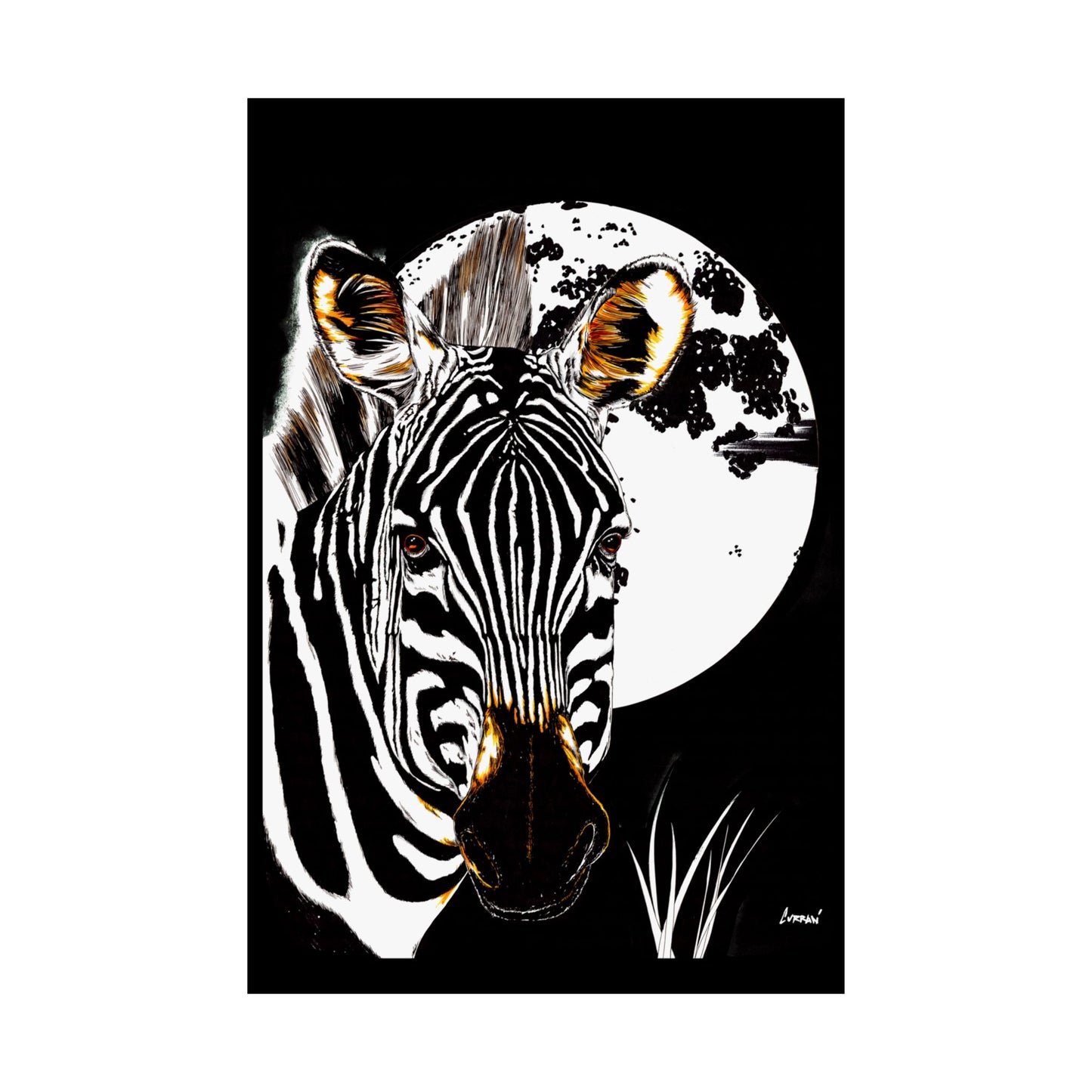 Zebra Satin Poster - Art Print Poster of the Original Art