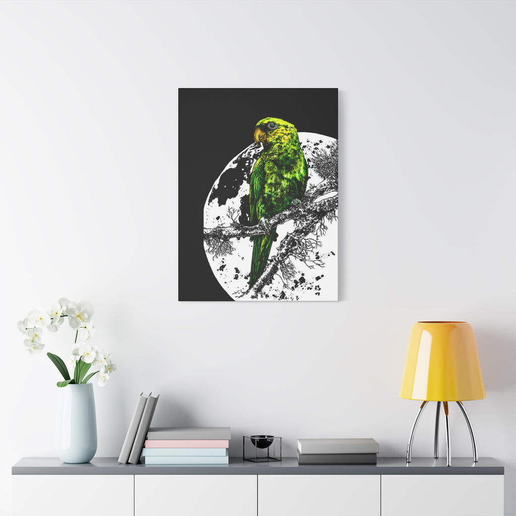 Green Parrot Wall Art Print - Matte Canvas, Stretched,