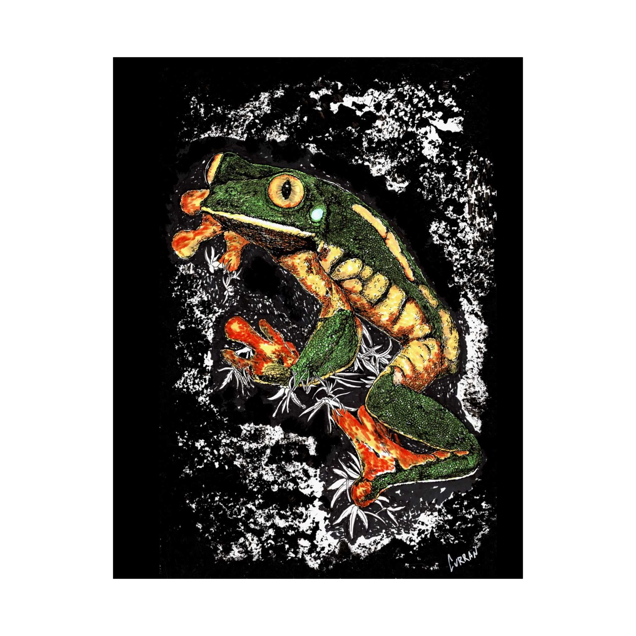 Discover the enchanting Frog Satin Poster - 300gsm Art Print for Nature Lovers. Bring the beauty of nature into your home today! Buy now.