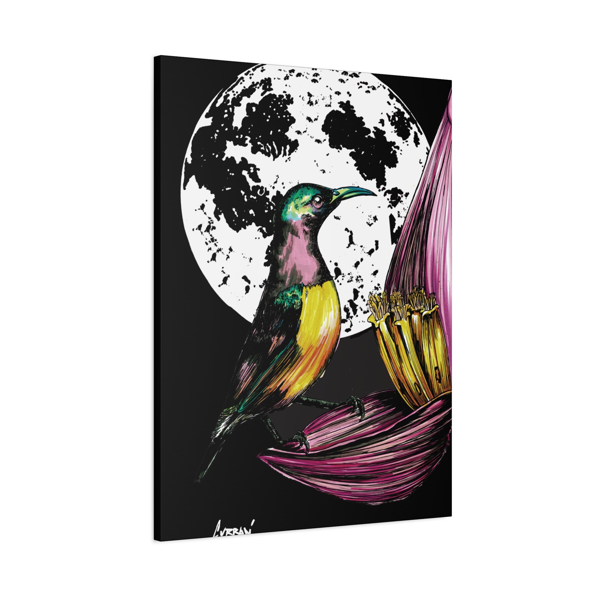 Hummingbird Wall Art Print of the Original, hand drawn