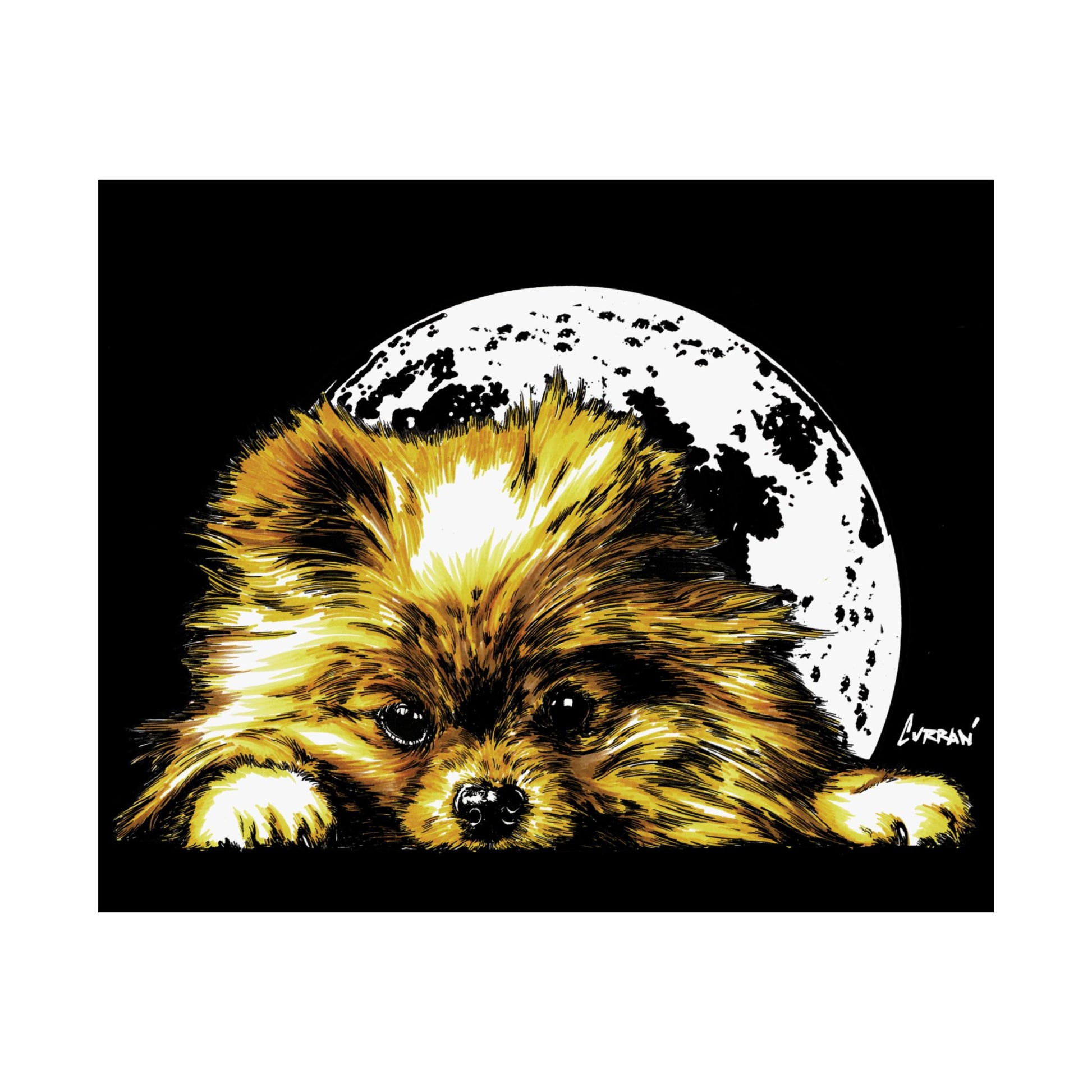 Beautiful Pomeranian Art Print - Satin Poster (300gsm)