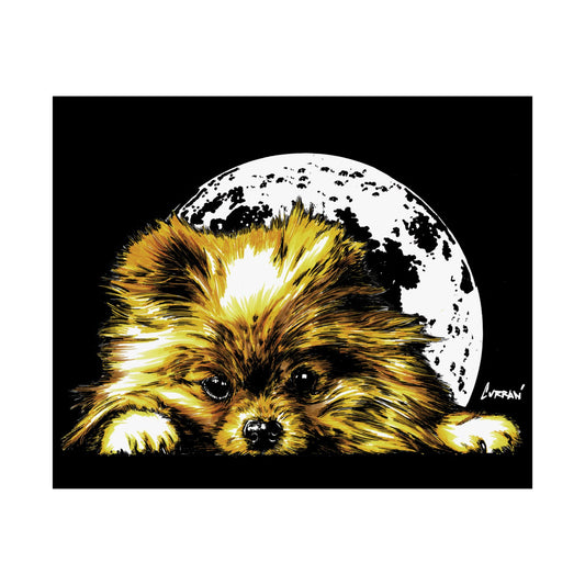 Beautiful Pomeranian Art Print - Satin Poster (300gsm)