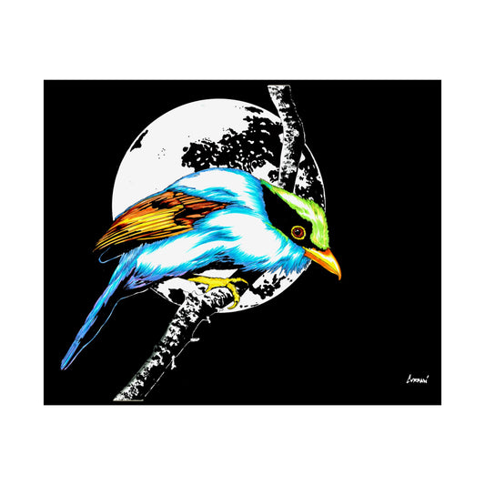 Vibrant Bird Satin Poster - 300gsm Wall Art Print for Nature Lovers
