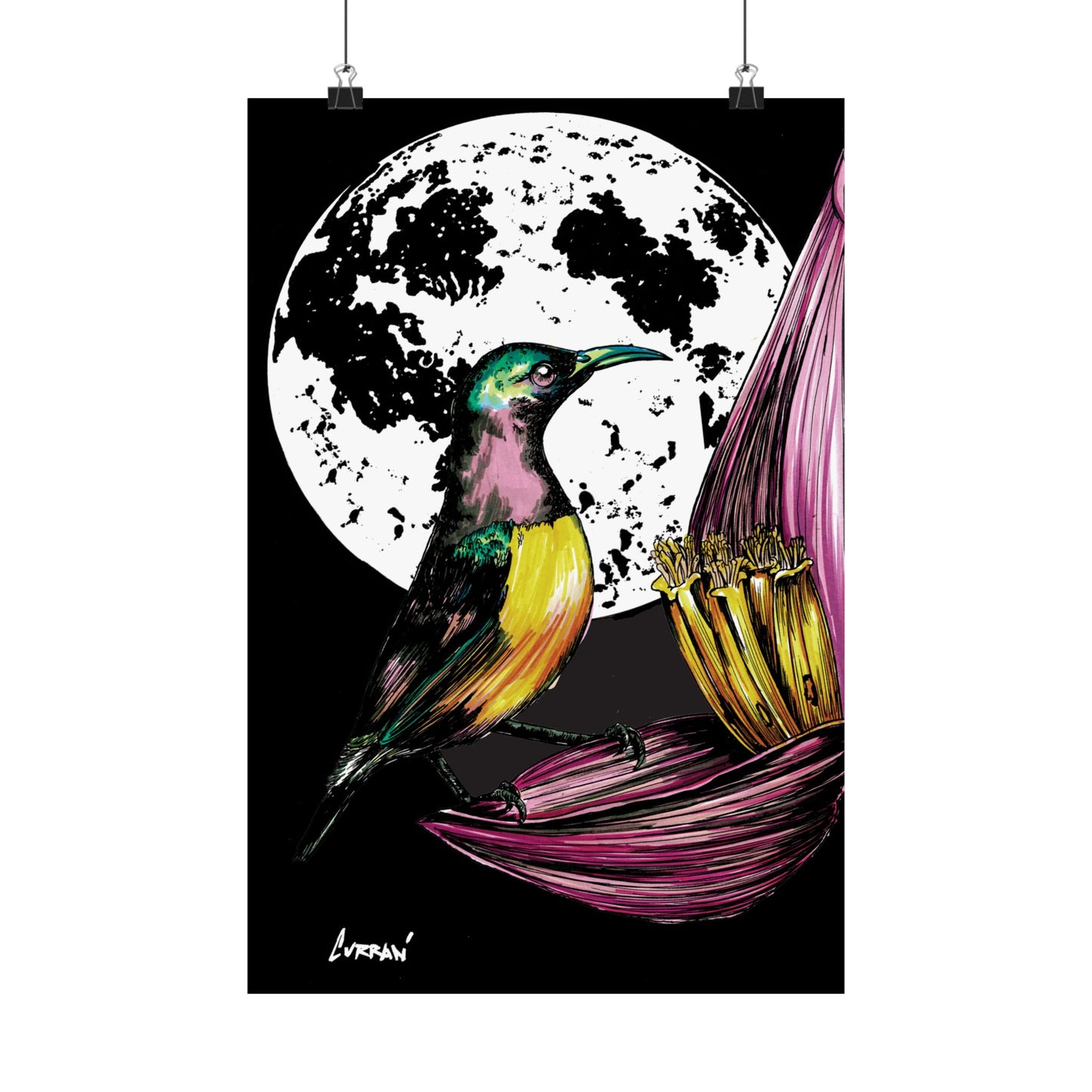 Vibrant Bird Satin Poster - 300gsm Art Print for Nature Lovers