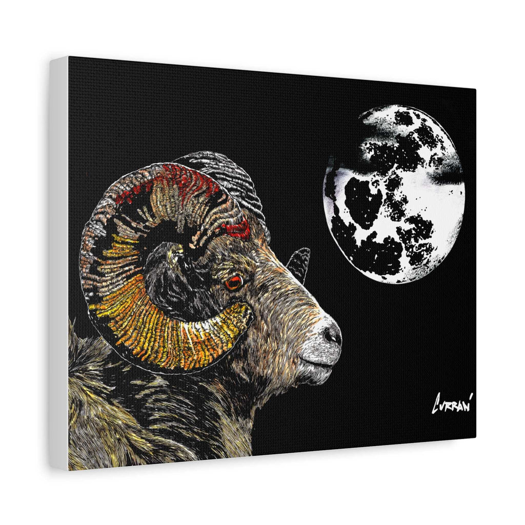Mountain Ram Canvas Print - Art Print on Stretched Canvas