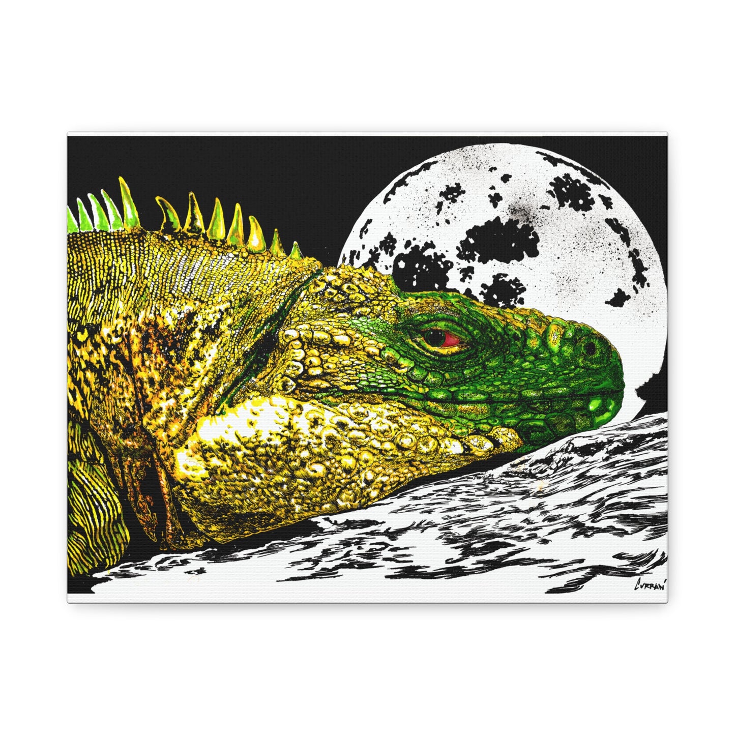 Reptile Art Print, Print of my Original hand drawn art printed on stretched canvas of a Reptile