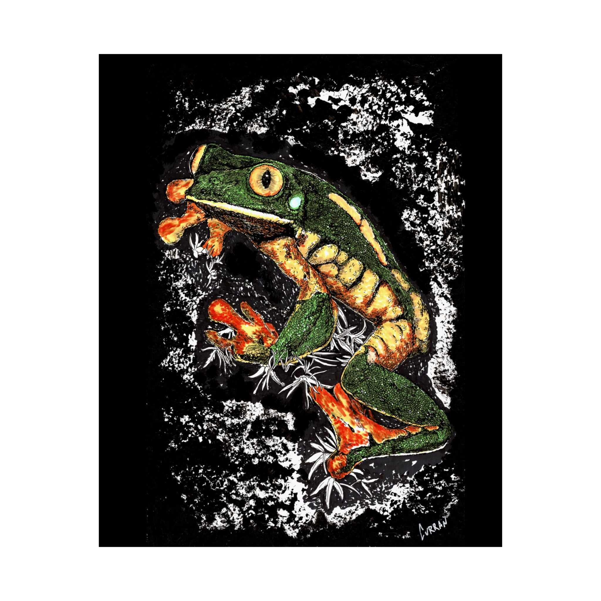 Discover the enchanting Frog Satin Poster - 300gsm Art Print for Nature Lovers. Bring the beauty of nature into your home today! Buy now.