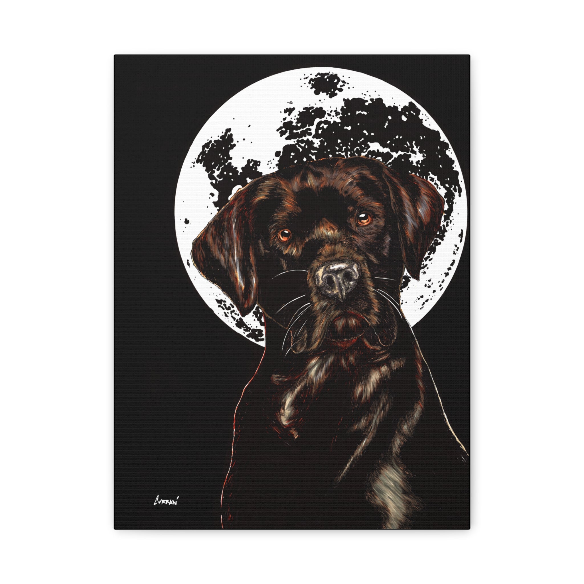 Chocolate Lab in Moonlight Wall Art Print of the Original