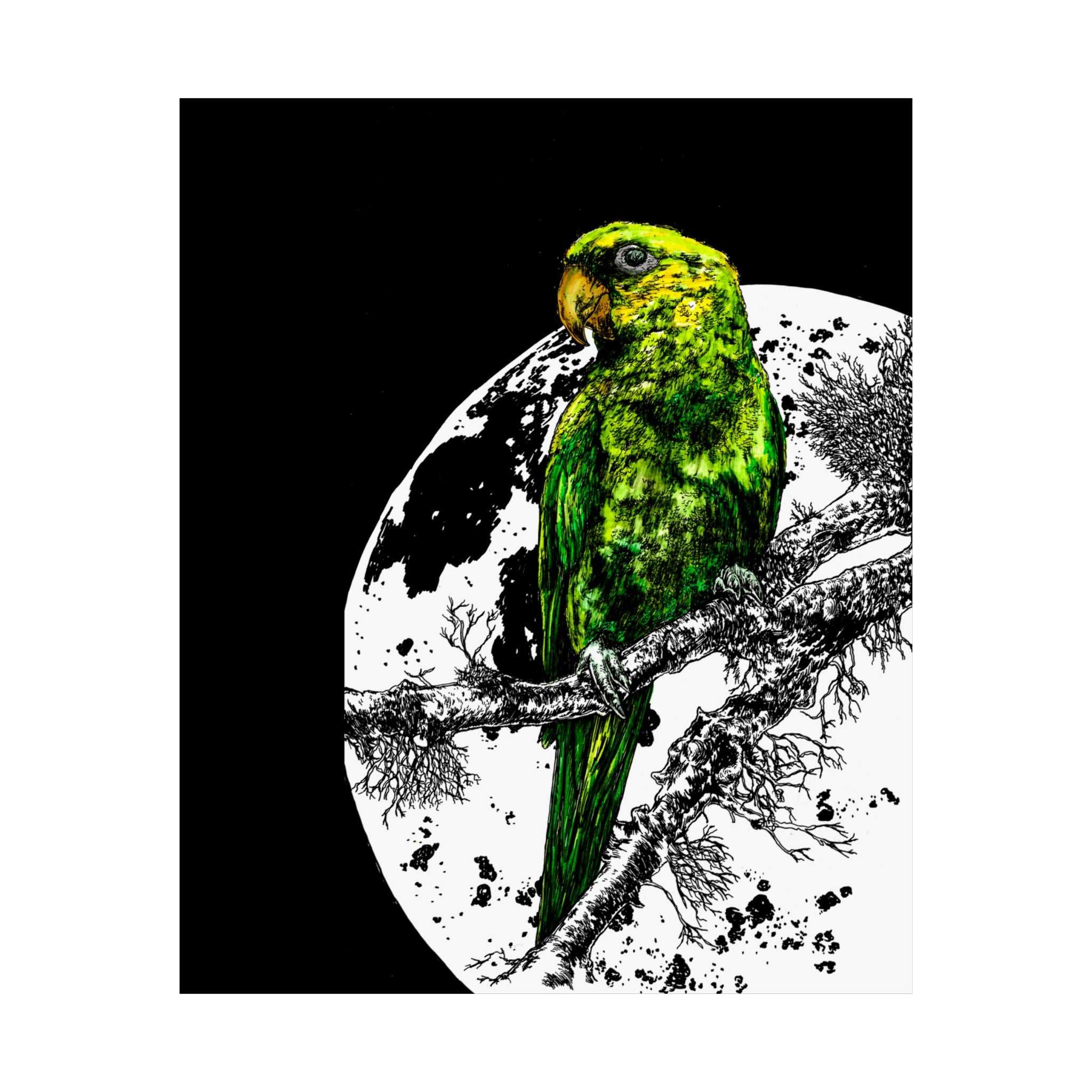 Green Parrot Satin Poster - Colorful Wall Art for Home Decor featuring the beautifully hand drawn and colored original wall art animal poster by Kris Curran.