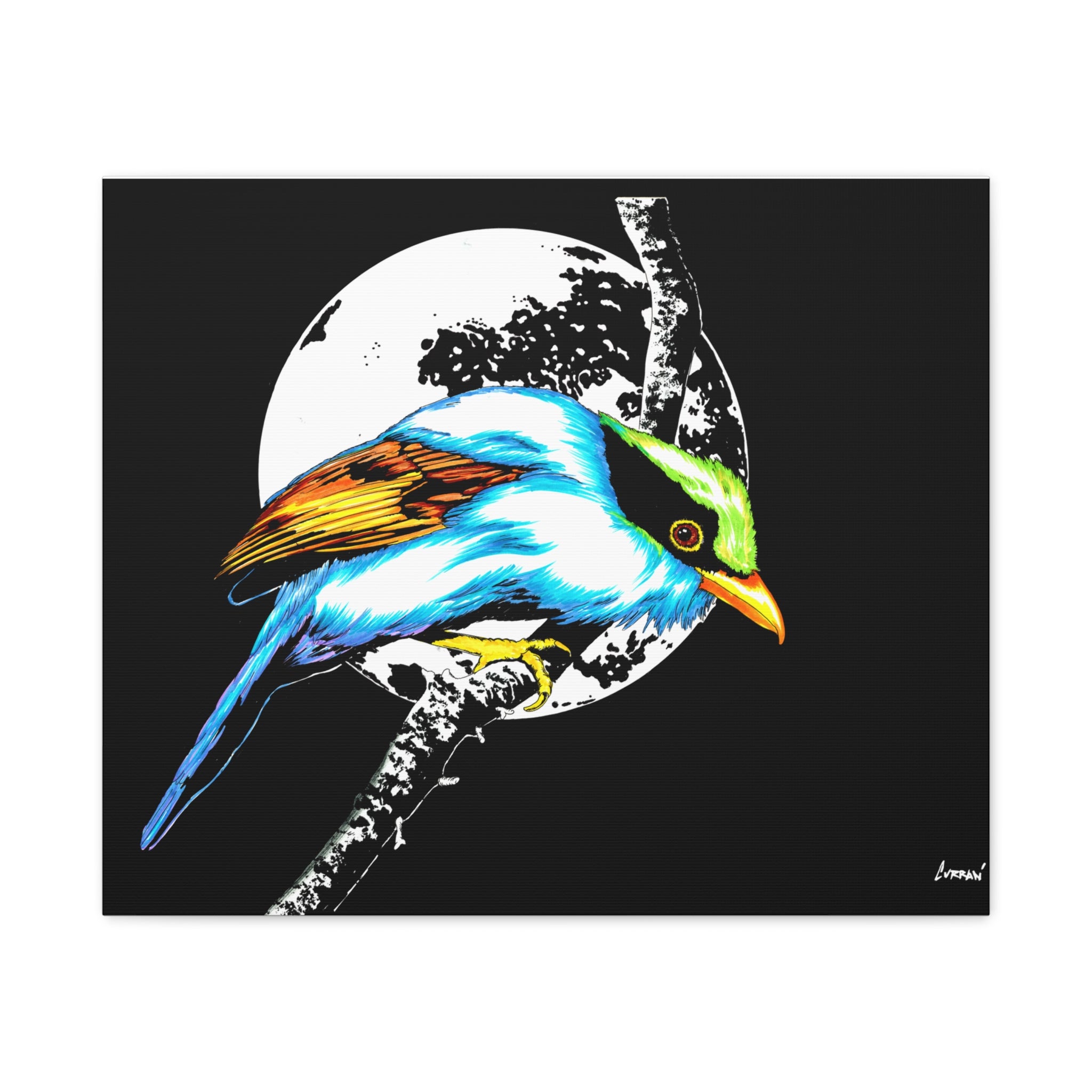Exotic Bird Canvas Art – Original Hand-Drawn Vibrant,