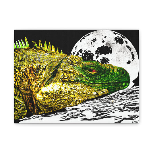 Reptile Art Print, Print of my Original hand drawn art printed on stretched canvas of a Reptile