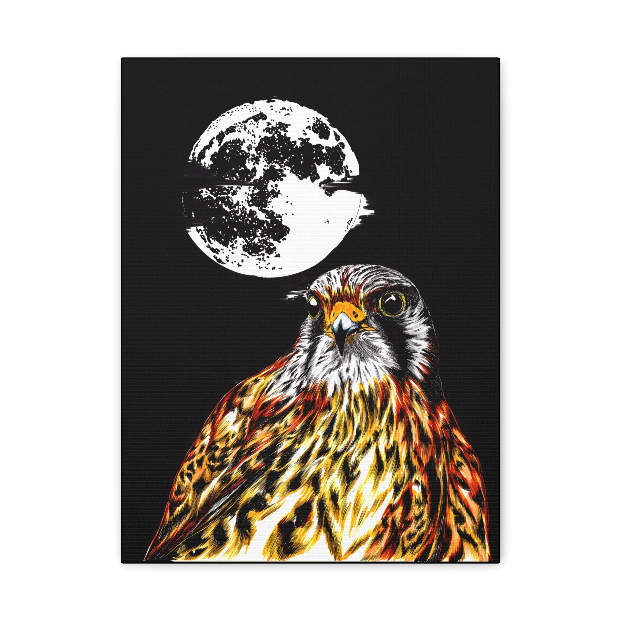 Falcon Wall Art, Falcon Print, Wildlife Art, Bird of Prey