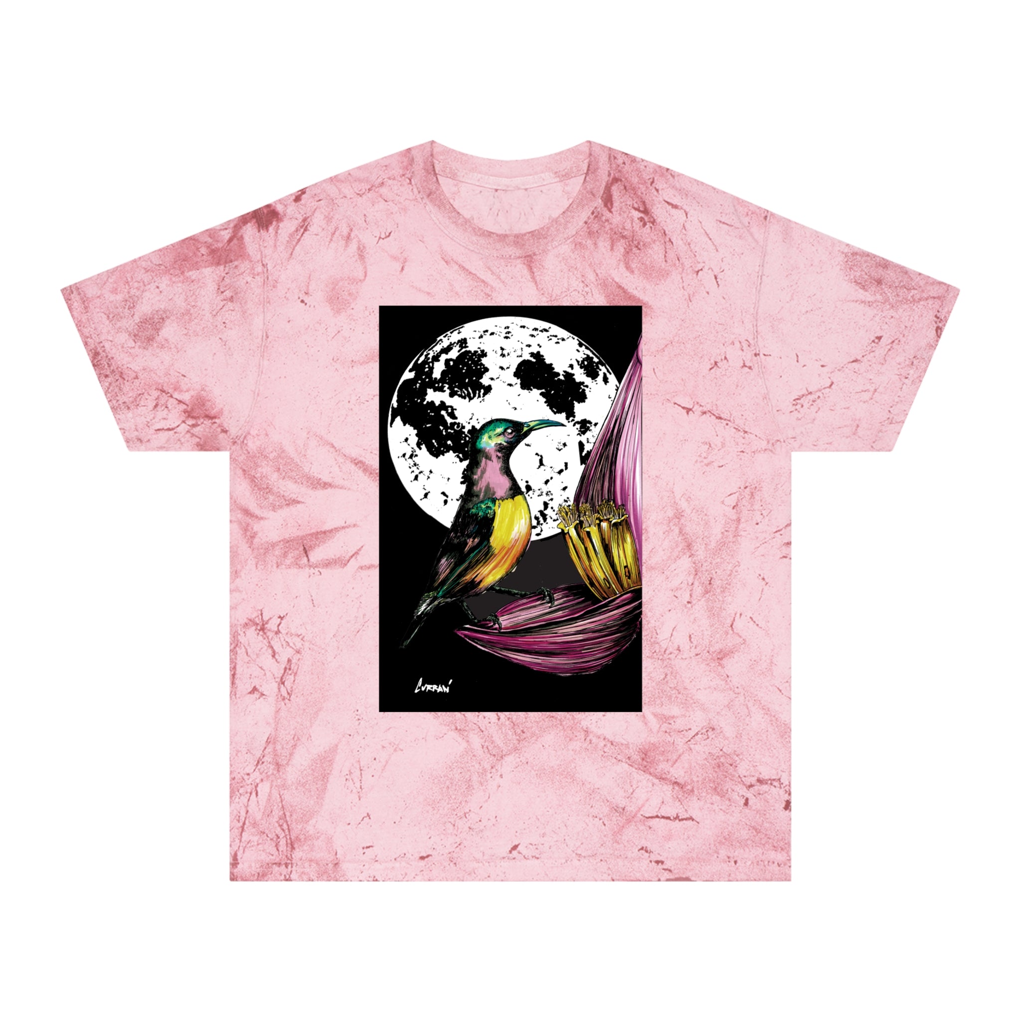 Colorful Hummingbird Art Unisex T Shirt Nature Design
